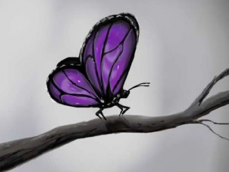 450x337 purple butterfly - Purple Butterfly Drawing