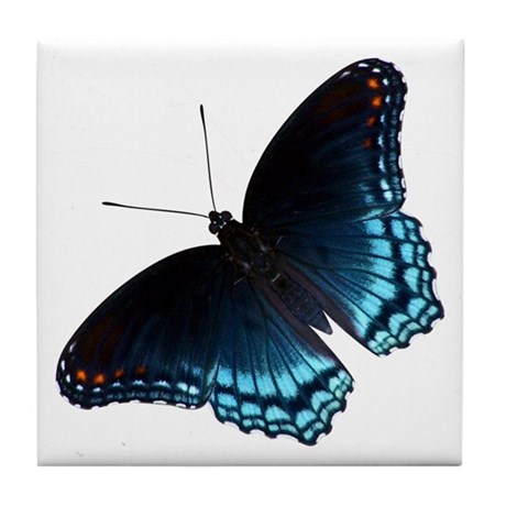 460x460 red spotted purple butterfly drawing coasters - Purple Butterfly Drawing