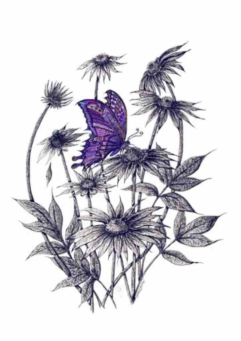 841x1190 rudbekia with purple butterfly - Purple Butterfly Drawing