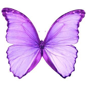 340x340 more purple - Purple Butterfly Drawing