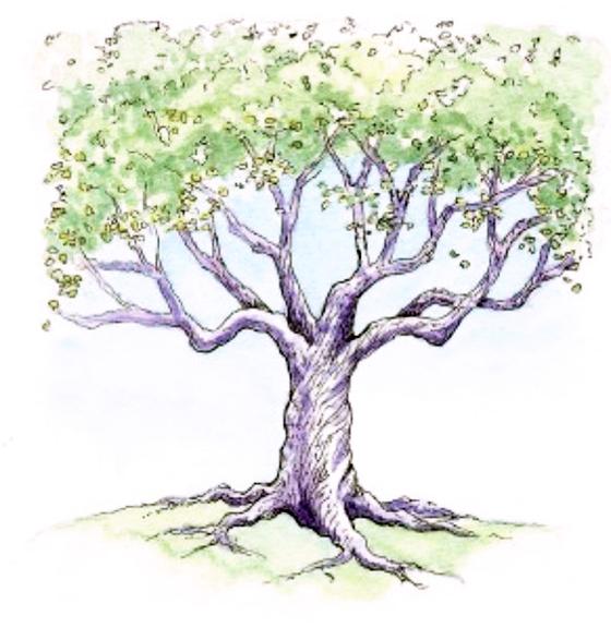 560x587 Drawings - Purple Drawings