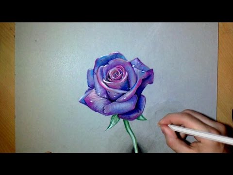 480x360 how i draw a realistic purple rose - Purple Flower Drawing