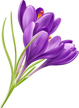 270x368 vector purple flower drawing free vector download - Purple Flower Drawing