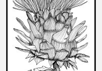 200x140 purple heart medal printable coloring - Purple Heart Medal Drawing