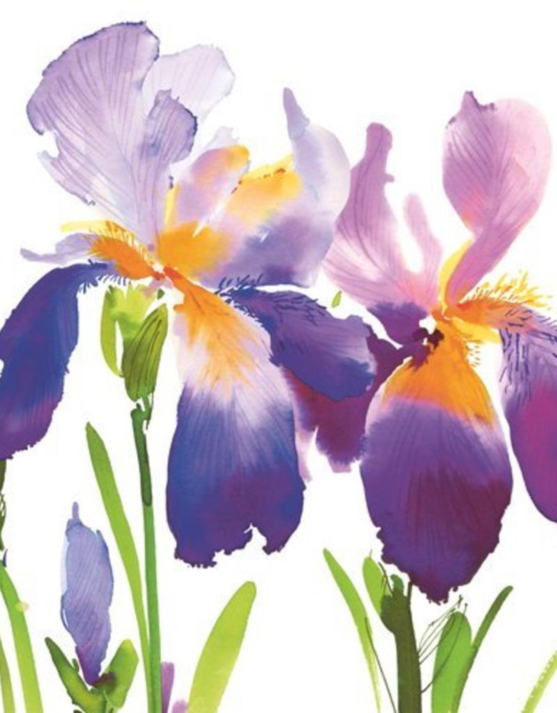800x1024 purple iris lunch serviette - Purple Iris Drawing