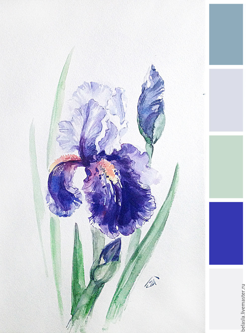 979x1324 purple iris, watercolor shop online on livemaster with shipping - Purple Iris Drawing