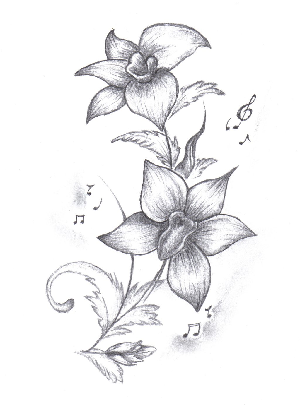 1024x1404 Pictures Orchid Flower Drawing In Pencil - Purple Orchid Drawing