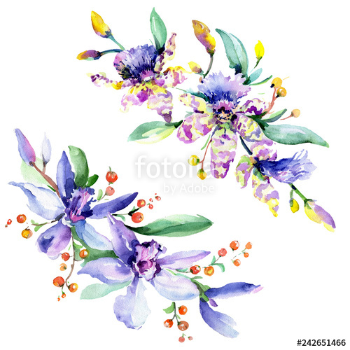 500x500 pink and purple orchid flower watercolour drawing fashion - Purple Orchid Drawing