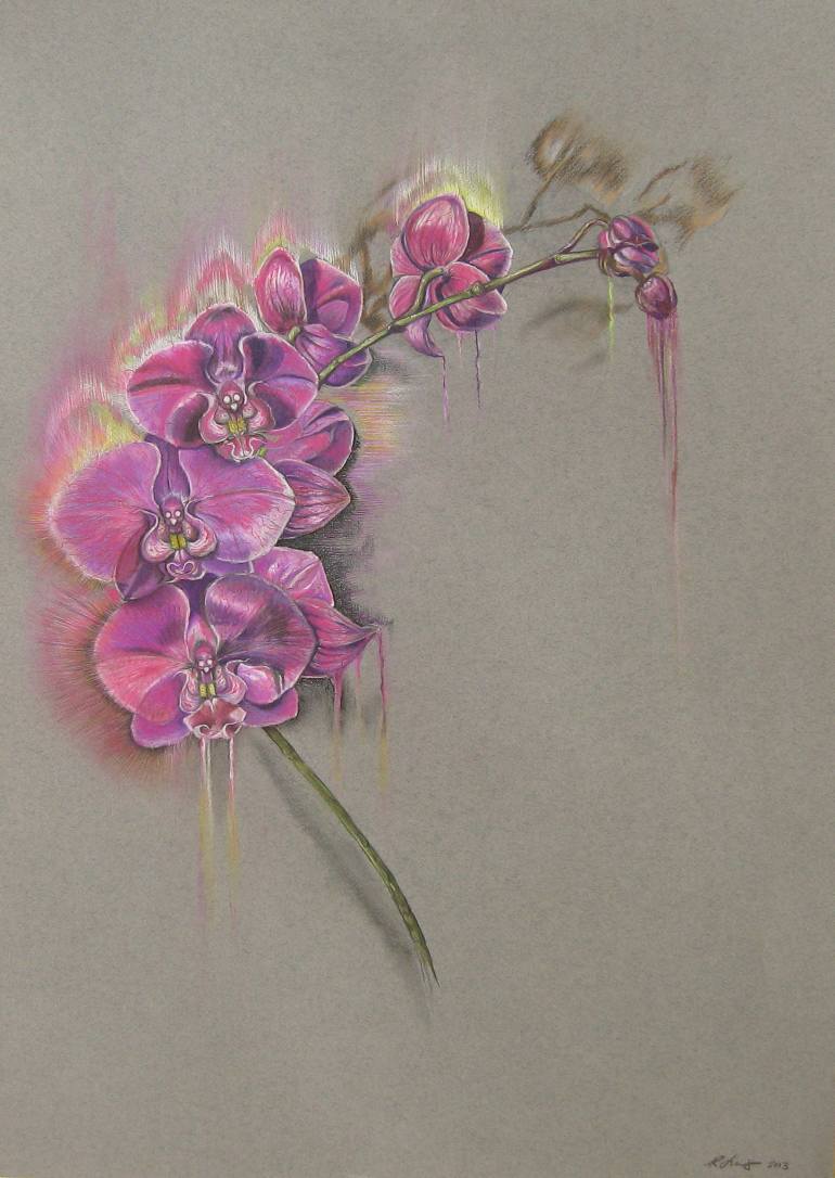 770x1086 Purple Orchid Drawing - Purple Orchid Drawing
