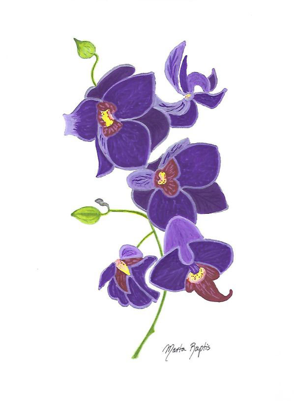 600x814 Purple Orchid Drawing On Behance - Purple Orchid Drawing