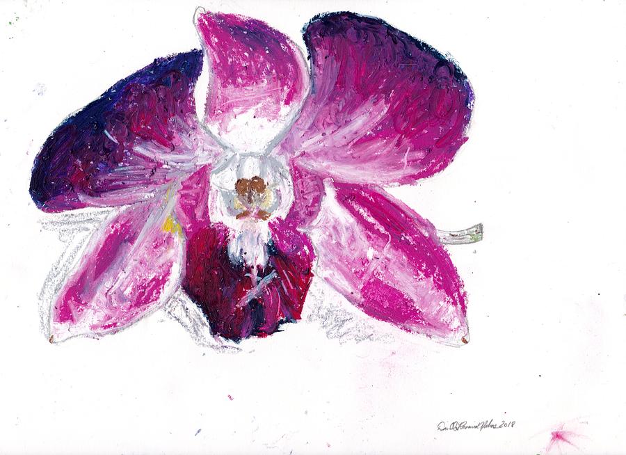 900x654 Purple Orchid Pastel - Purple Orchid Drawing