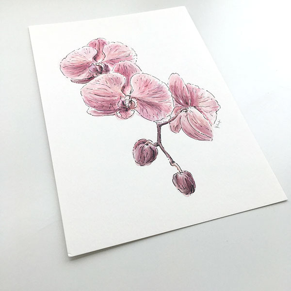 600x600 Purple Orchid Watercolour Painting Original Botanical Artwork - Purple Orchid Drawing