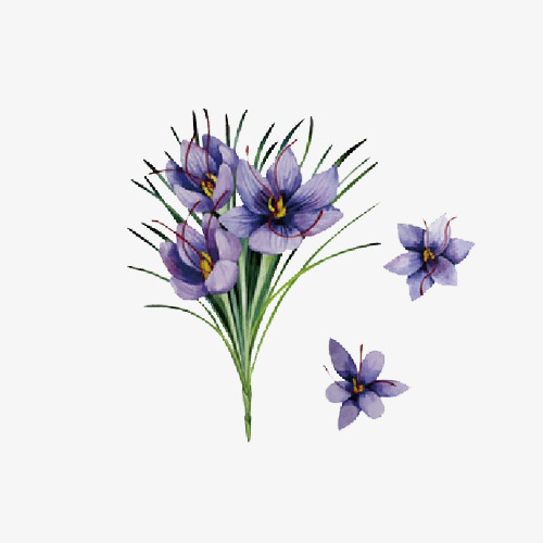 500x500 Hand Painted Orchid, Drawing Plant, Green Leaves, Purple Flowers - Purple Orchid Drawing