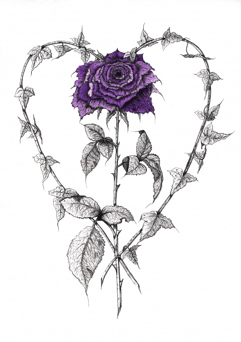 848x1200 ivy heart with purple rose - Purple Rose Drawing