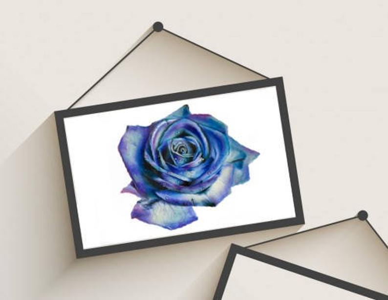 794x614 Original Blue Green And Purple Rose Drawing Wall Art Etsy - Purple Rose Drawing