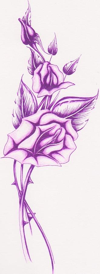 330x900 Purple Rose Drawing - Purple Rose Drawing