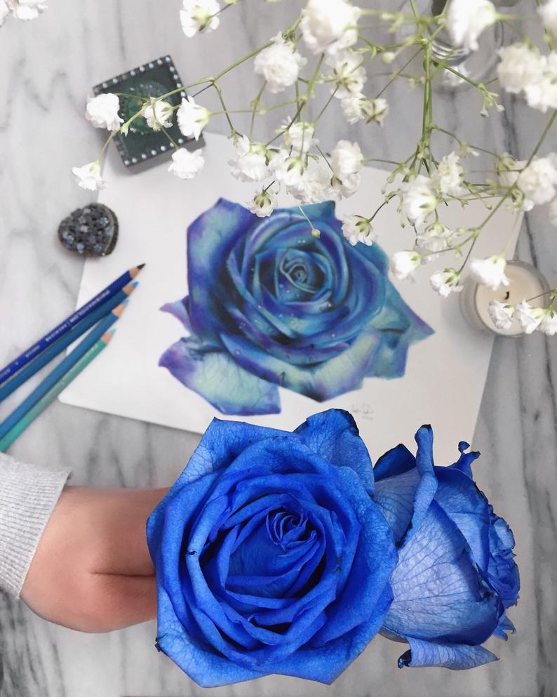 794x993 blue green and purple rose drawing print wall art flower etsy - Purple Rose Drawing