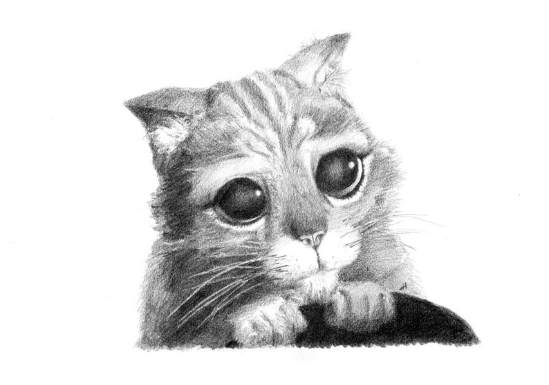 794x558 original puss in boots pencil drawing etsy - Puss In Boots Drawing