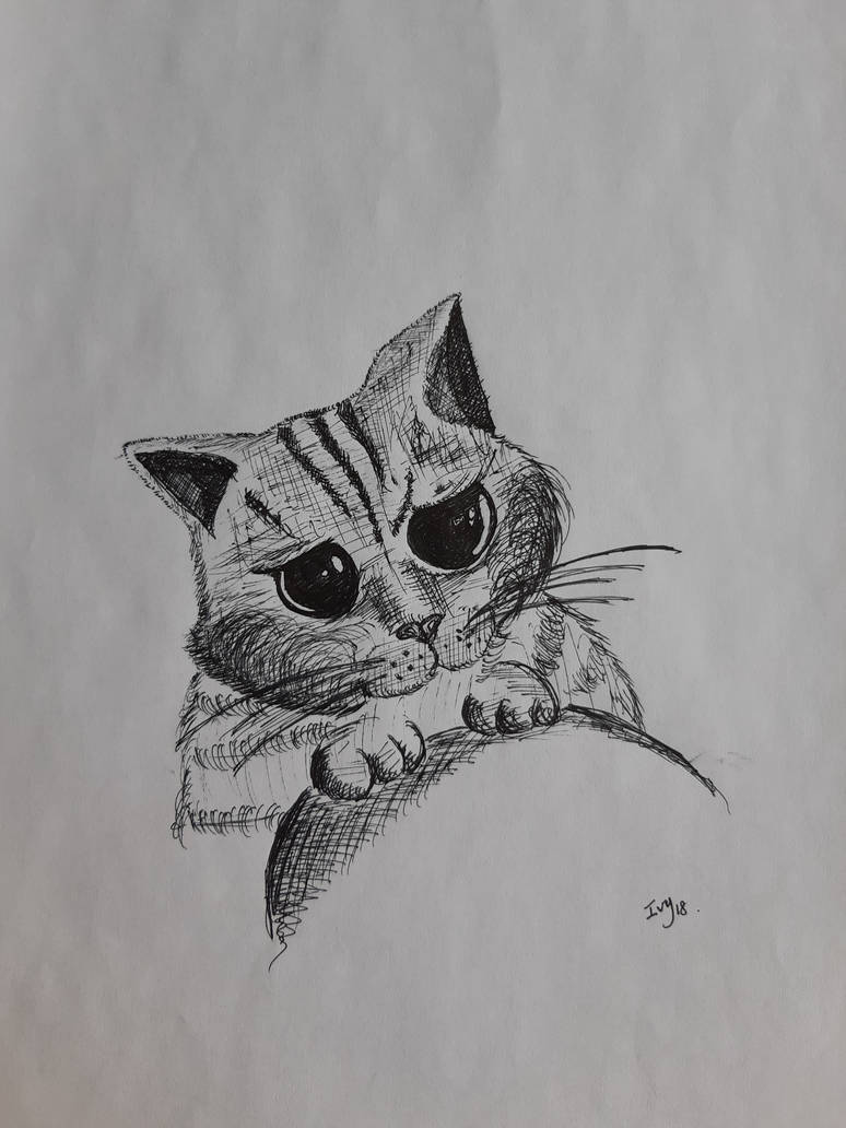 774x1032 puss in boots drawing - Puss In Boots Drawing
