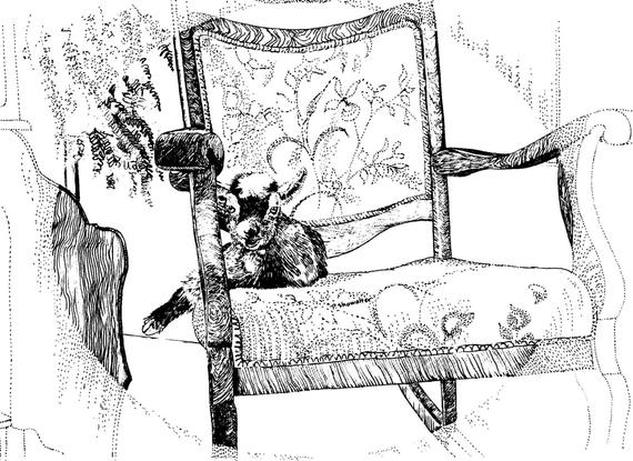 570x415 pygintheparlor pygmy goat notecards quarter fold notes etsy - Pygmy Goat Drawing