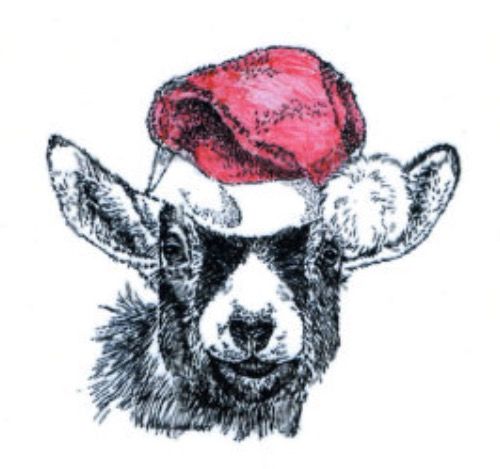 500x469 pygmy goat with a christmas hat drawing! goat - Pygmy Goat Drawing
