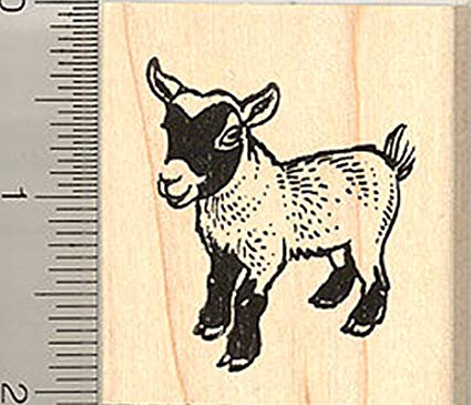 425x365 African Pygmy Goat Rubber Stamp Arts, Crafts Sewing - Pygmy Goat Drawing