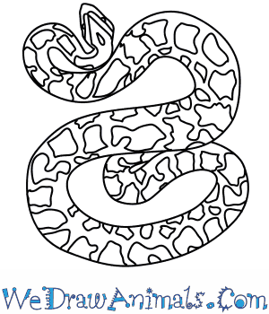 Python Drawing at PaintingValley.com | Explore collection of Python Drawing