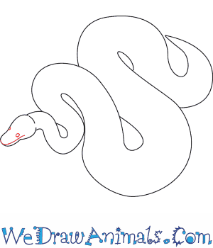 300x350 How To Draw A Python - Python Drawing