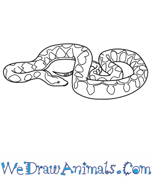 Python Drawing at PaintingValley.com | Explore collection of Python Drawing