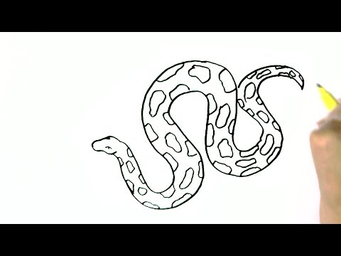 480x360 How To Draw A Python, Big Snake - Python Drawing