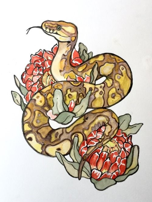 Python Drawing at PaintingValley.com | Explore collection of Python Drawing