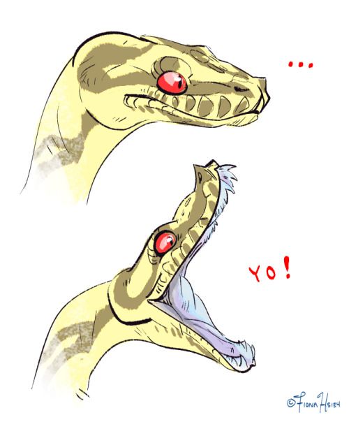 500x604 I Like Drawing Python Faces, Is So Fun Snakes Snake Drawing - Python Drawing
