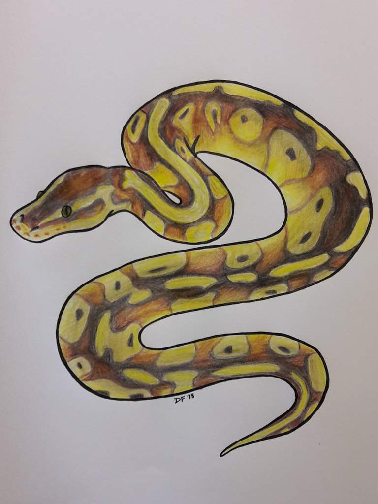 Нарисовать рисунок python