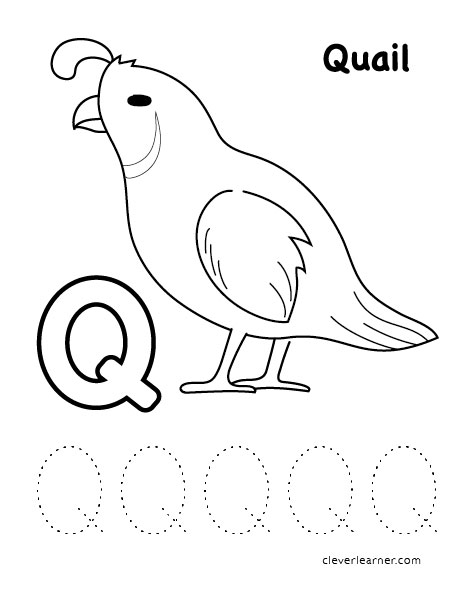 463x599 Letter Q Writing And Coloring Sheet - Q Drawing