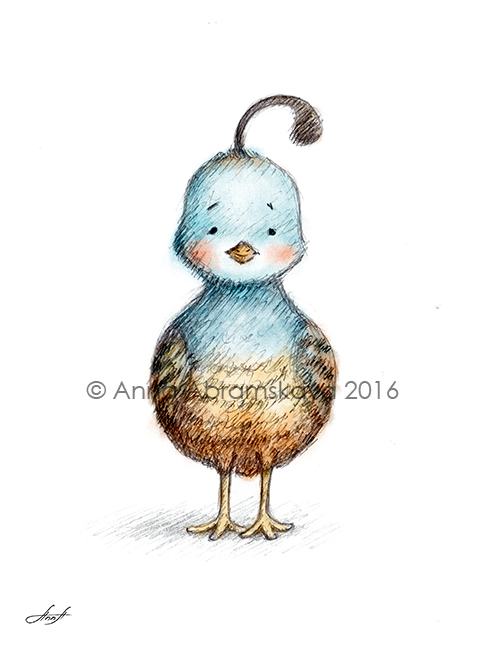 501x648 Anna Abramskaya - Quail Drawing