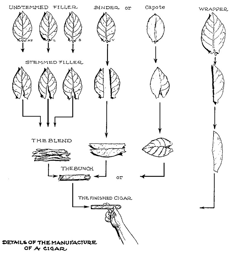 790x870 Ybor City Cigar Capital Of The World Drawing - Quality Drawing