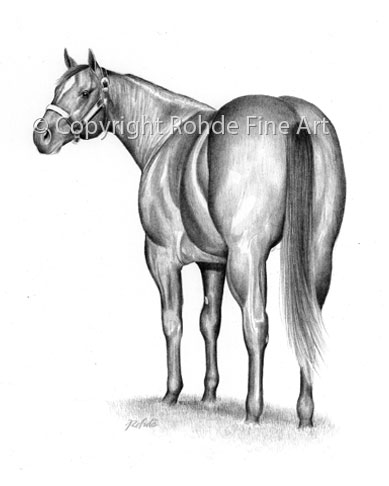 389x486 hindsight quarter horse art paintings for sale equine art - Quarter Horse Drawing