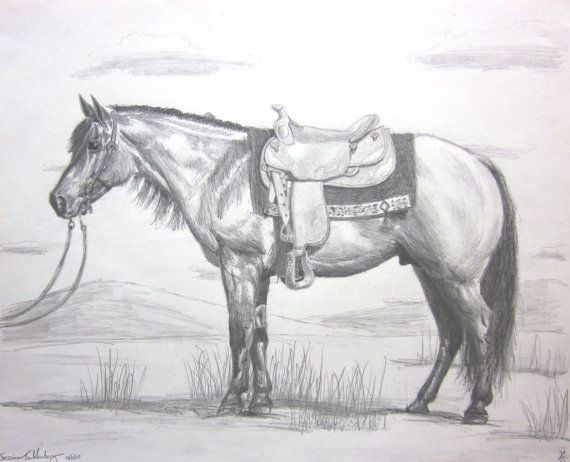 570x462 quarter horse pencil drawings horse art horse pencil drawing - Quarter Horse Drawing