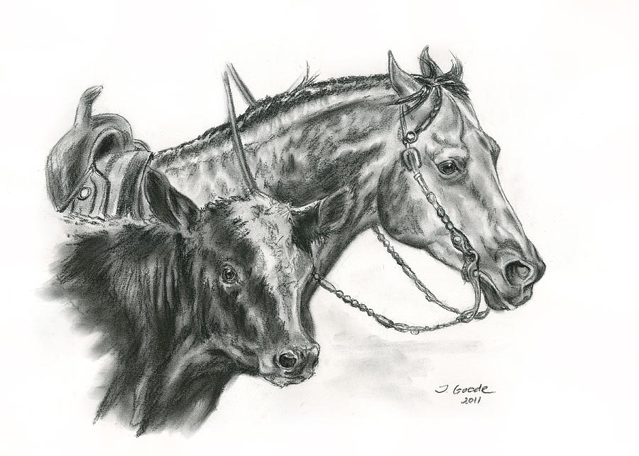 900x642 Working Cowhorse Drawing - Quarter Horse Drawing