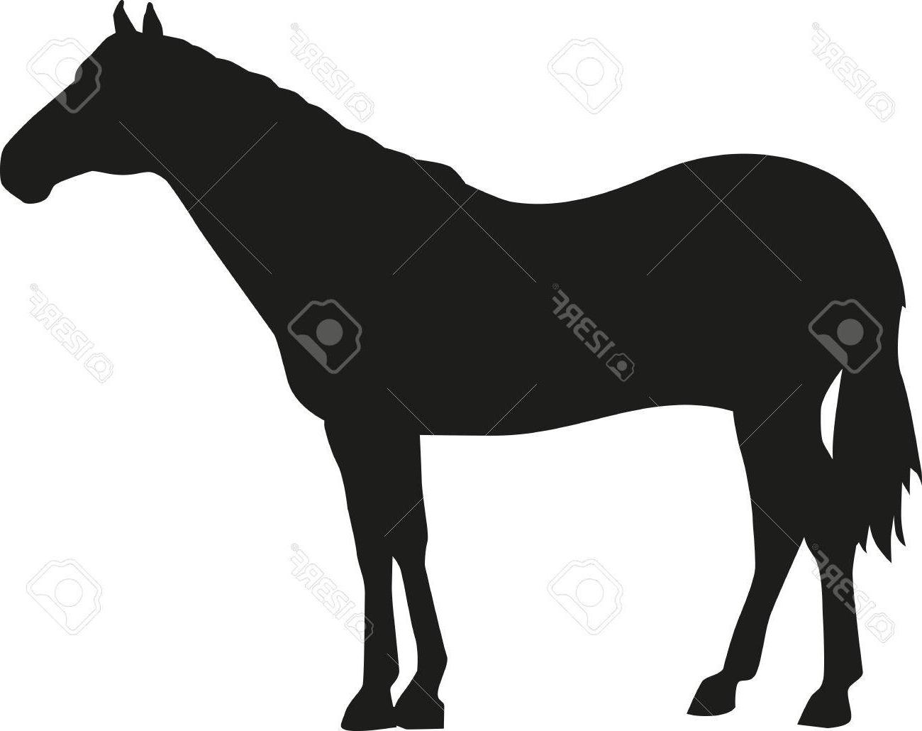 1300x1030 best quarter horse silhouette drawing - Quarter Horse Drawing