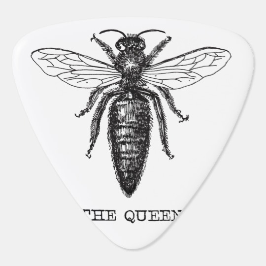540x540 queen bee drawing vintage black guitar pick - Queen Bee Drawing