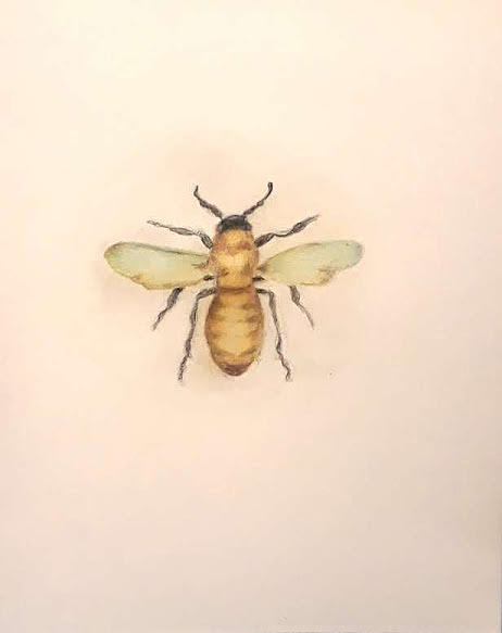 462x583 queen bee drawing - Queen Bee Drawing