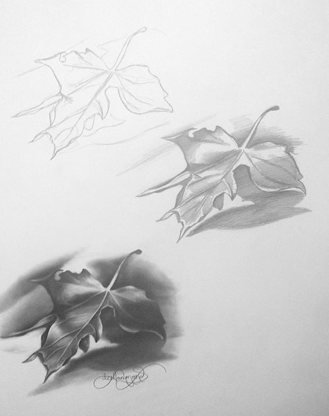 475x600 should you use an art projector, drawing portraits, grid method - Question Drawing