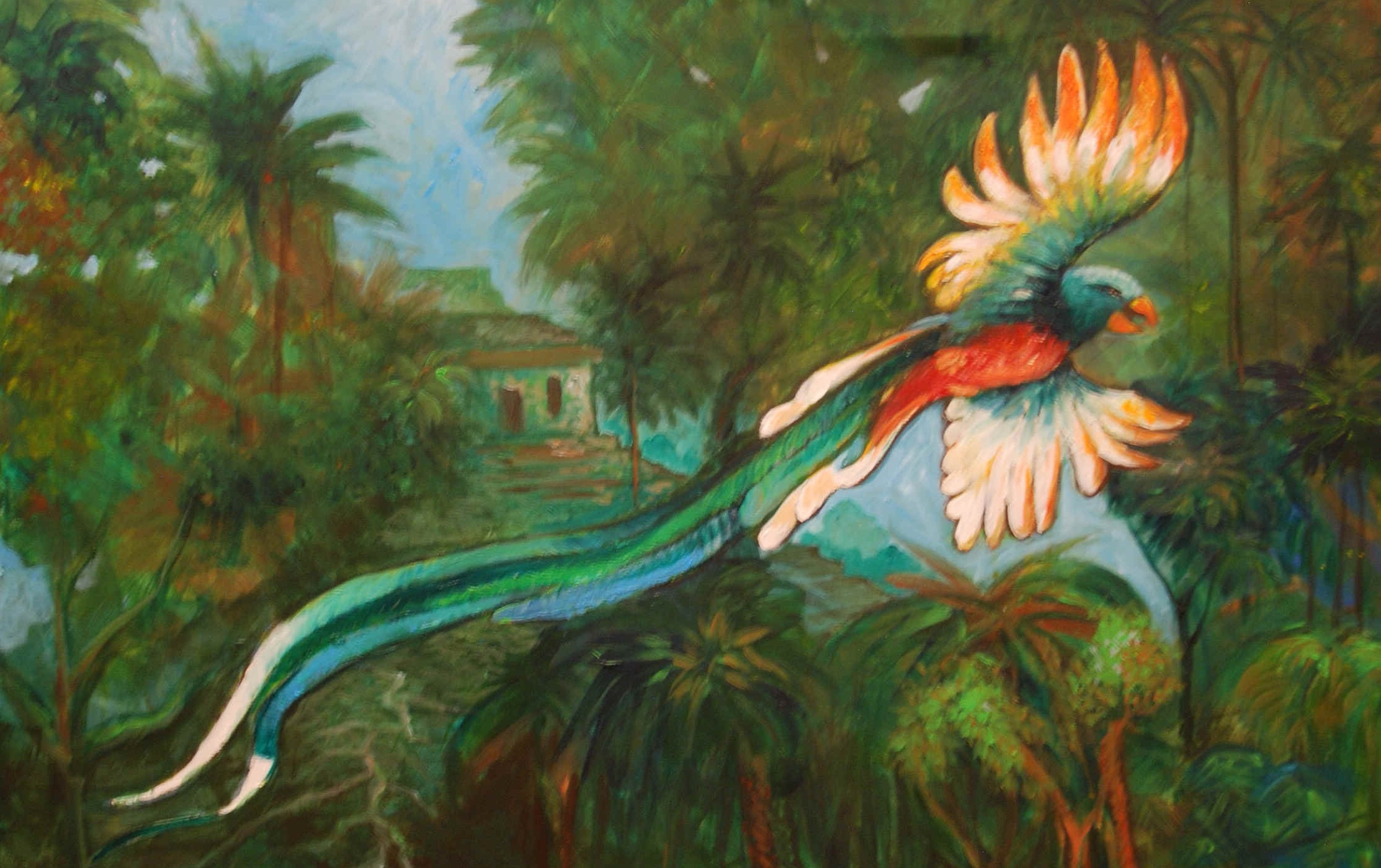 Quetzal Bird Picture. 