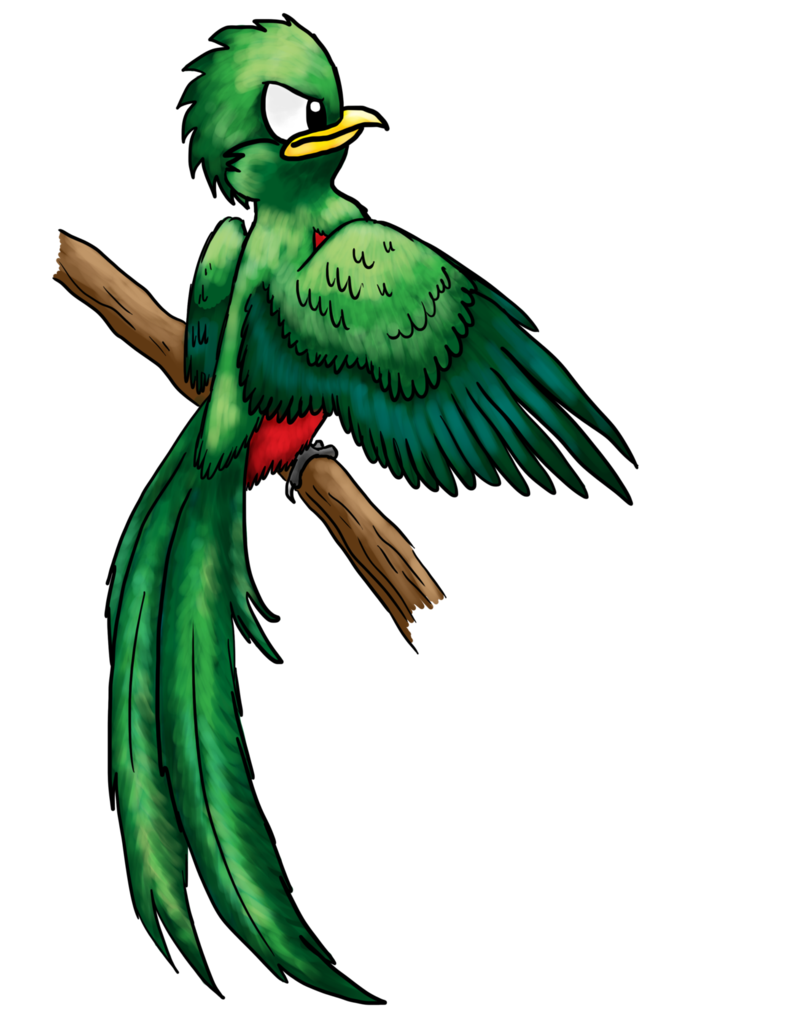 786x1017 quetzal - Quetzal Bird Drawing.