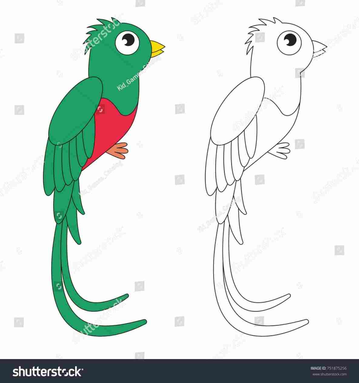 1185x1264 For At Getscom Personal Use Rhgetscom For Quetzal Bird Drawing - Quetzal Bird Drawing