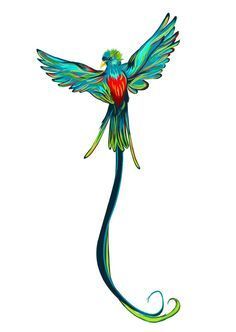 236x332 Image Result For Quetzal Drawing Stuff Quetzal Tattoo, Mayan - Quetzal Drawing