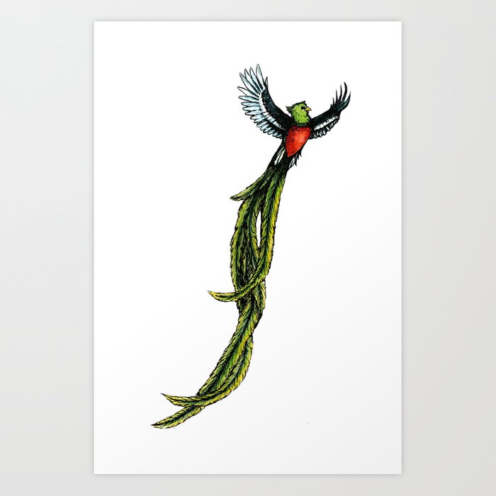 700x700 Quetzal Art Print - Quetzal Drawing