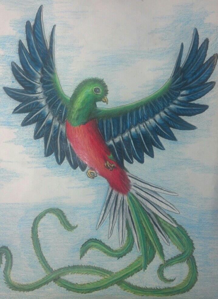 718x983 Quetzal Drawing Drawing Skill - Quetzal Drawing