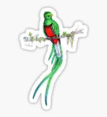 210x230 Quetzal Drawing Stickers Redbubble - Quetzal Drawing